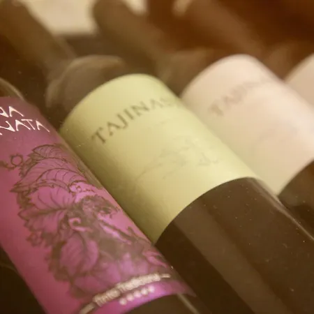 Puerto Palace Puerto de la Cruz (Tenerife)